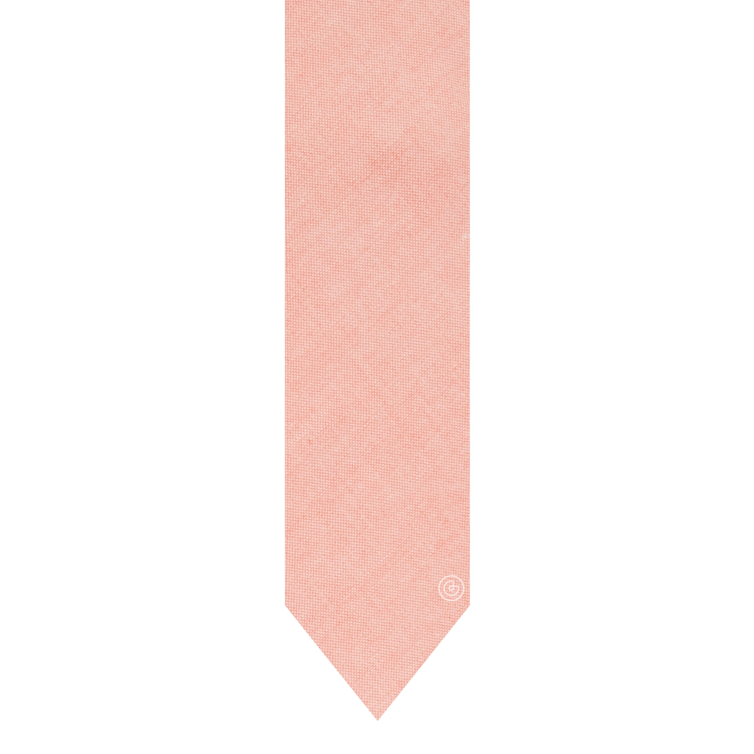 CC-20SALMON3.jpg