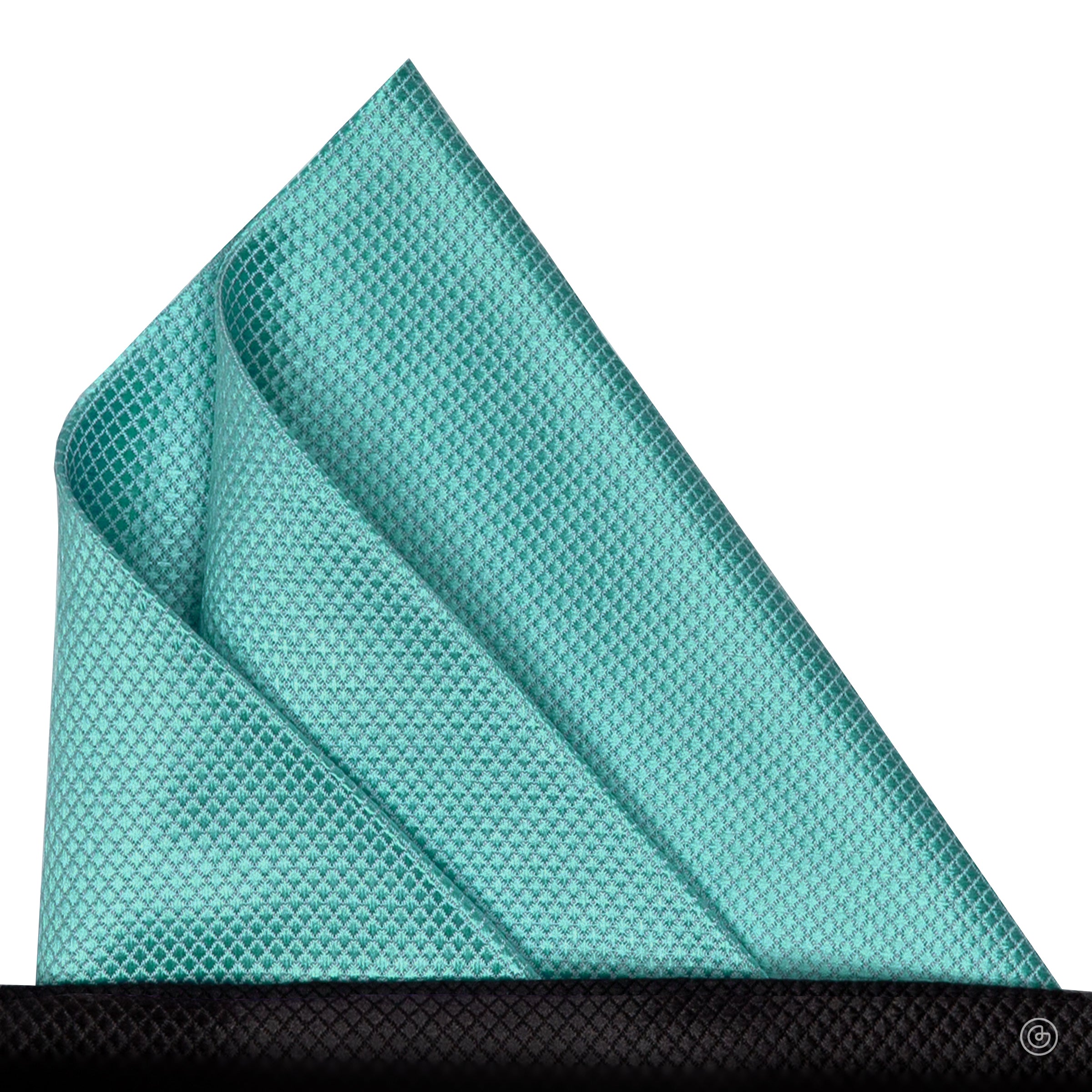 P-14-MENTA-1.jpg