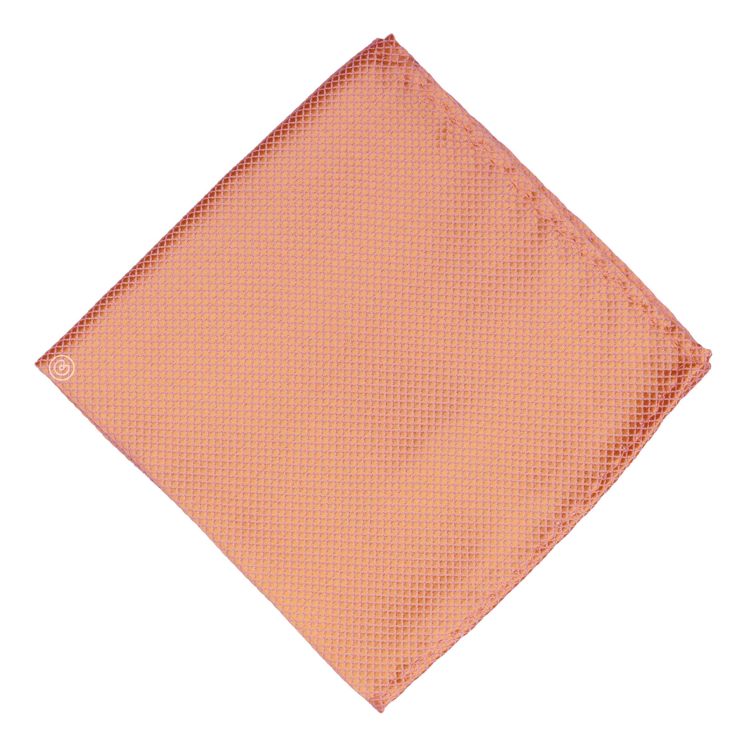 P-20-SALMON2.jpg