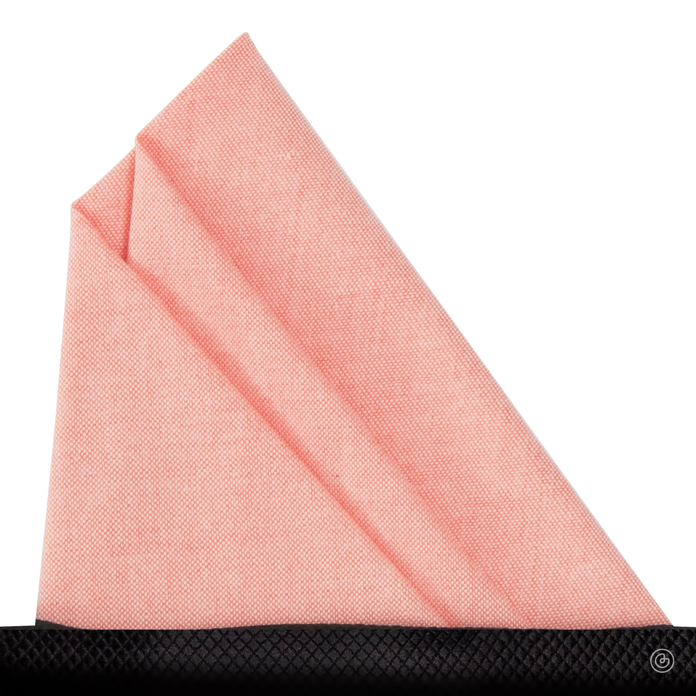 PC-20-SALMON-1.jpg