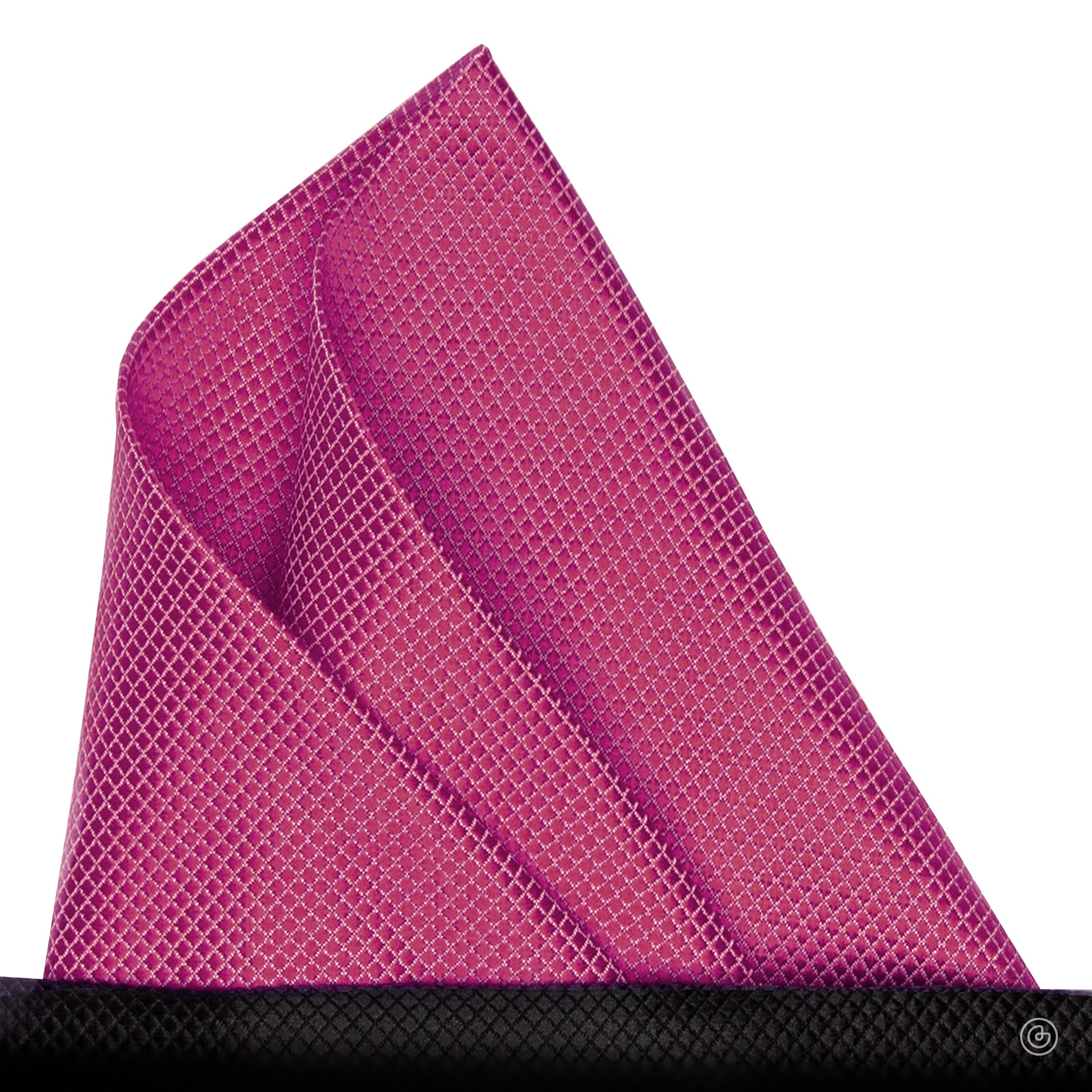 PL-31-FUCSIA.jpg