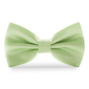 Moño Clásico · Verde Pastel