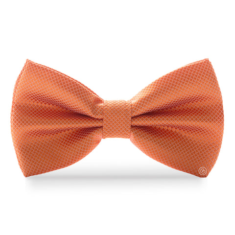 Moño Clásico · Naranja