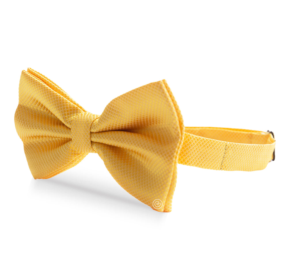 Moño Clásico · Amarillo