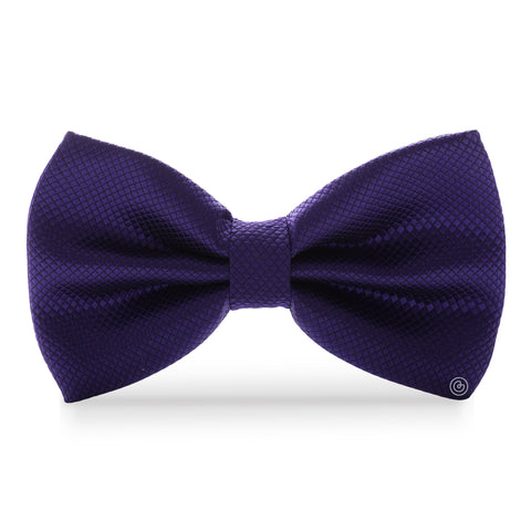 Moño Clásico · Morado