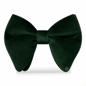 Moño Velvet Mariposa de Terciopelo ·  Verde Botella
